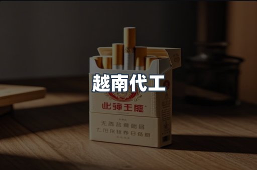 越南代工